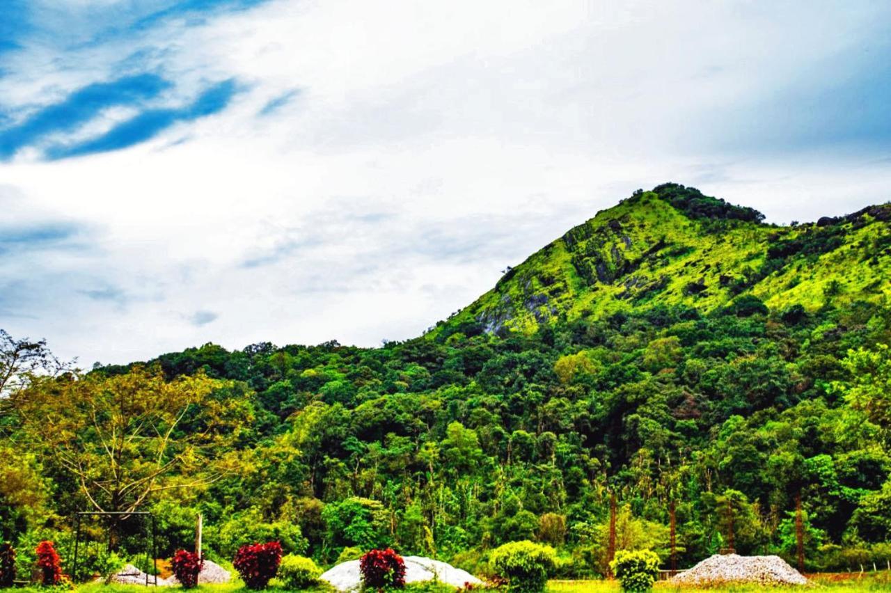 Staymaker Kasargali Homestay Sakleshpur Buitenkant foto